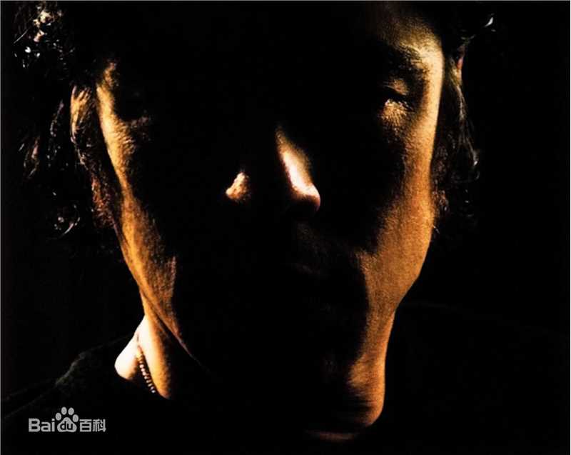 最优质本尼西奥·德尔·托罗(Benicio Del Toro)精彩图册