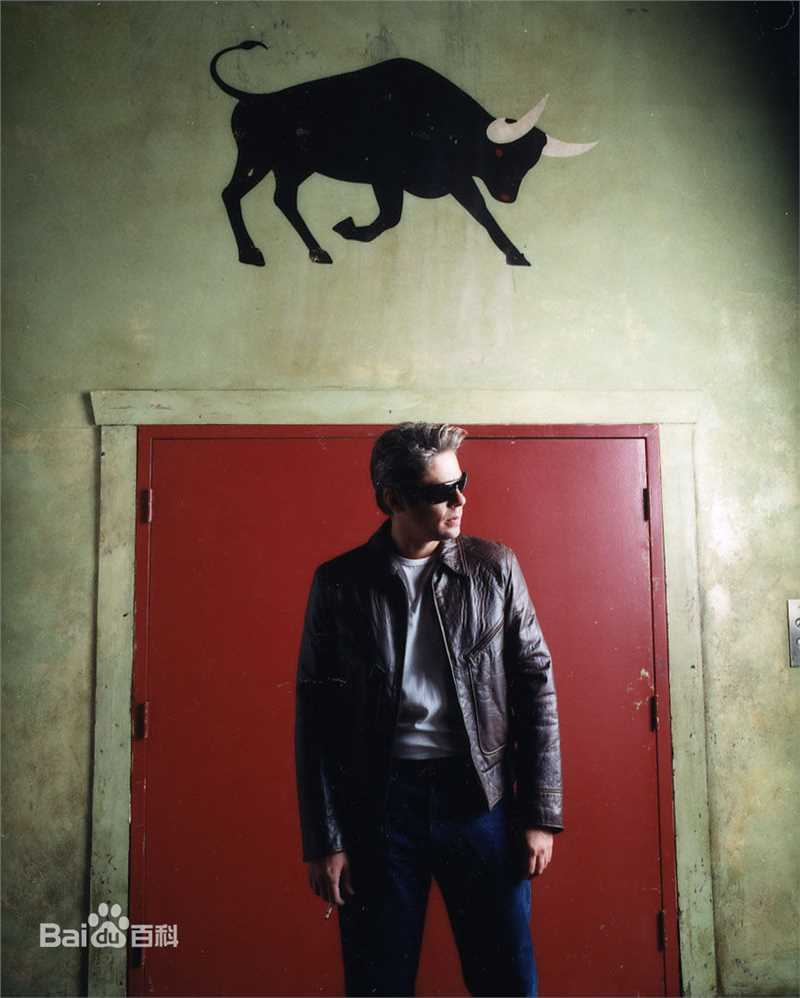 最优质本尼西奥·德尔·托罗(Benicio Del Toro)精彩图册