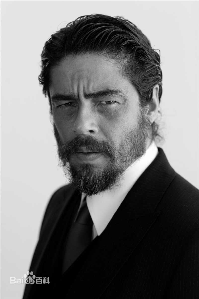 最优质本尼西奥·德尔·托罗(Benicio Del Toro)精彩图册