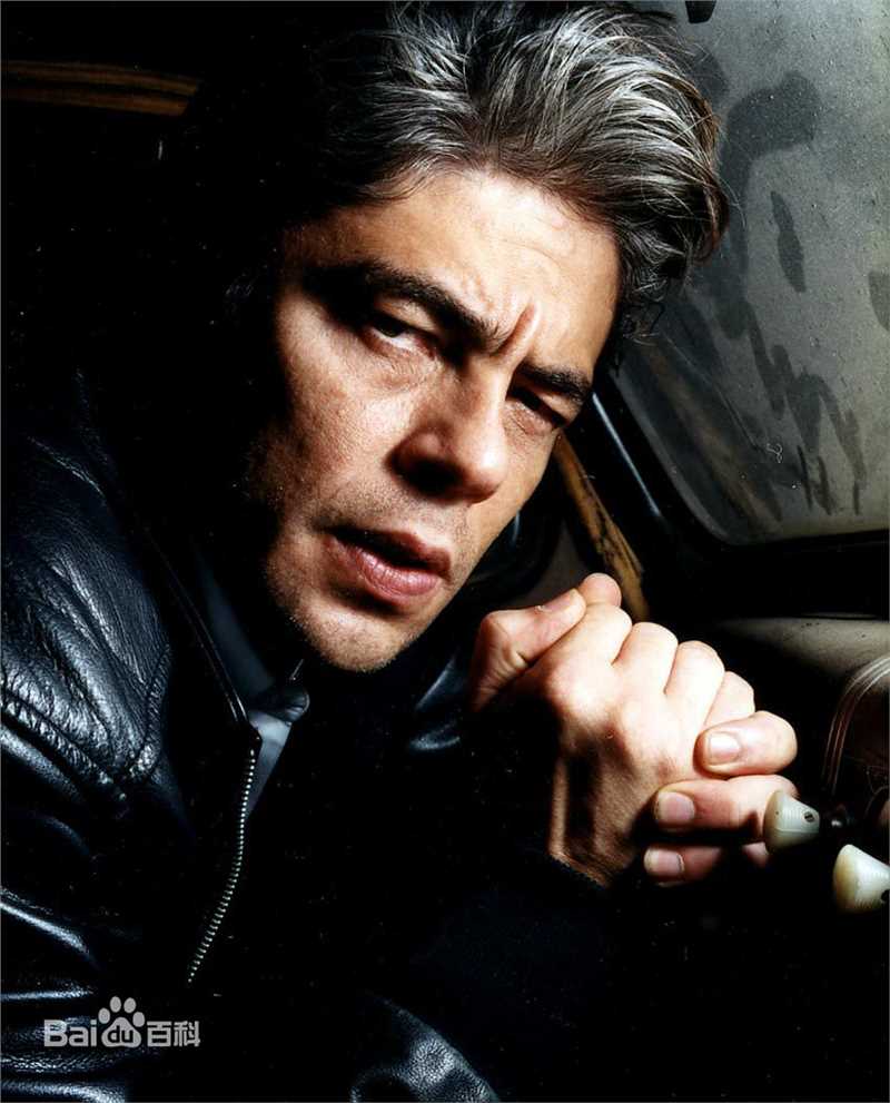 最优质本尼西奥·德尔·托罗(Benicio Del Toro)精彩图册