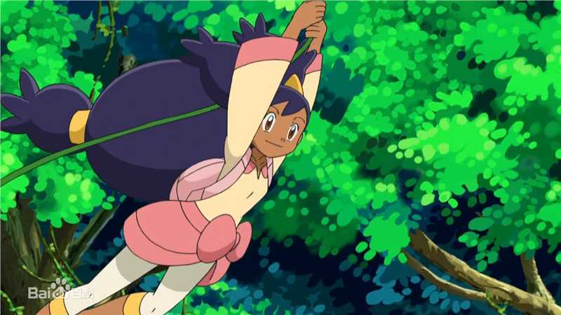 艾莉丝(日文：アイリス<br>英文：Iris)前后照片