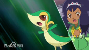 艾莉丝(日文：アイリス<br>英文：Iris)前后照片