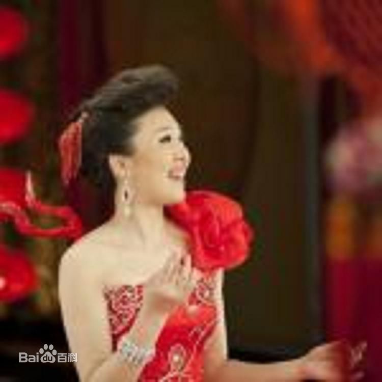 何苗(HeMiao)演出照片素颜照壁纸