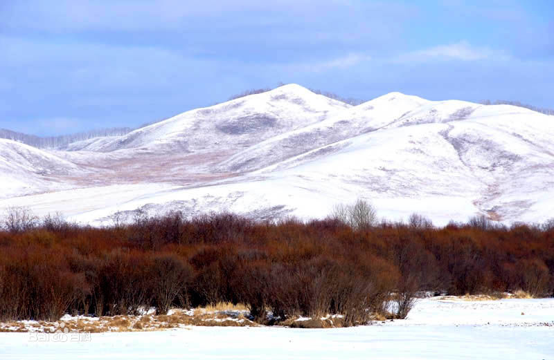 高清霍尔查图片
