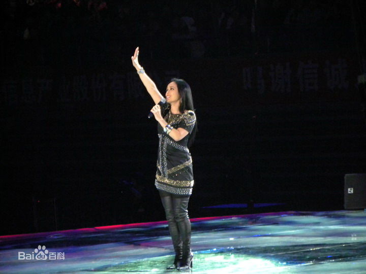 韦唯 演出照性感图片图集