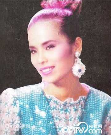 韦唯中国惠特尼休斯敦--素颜照相册