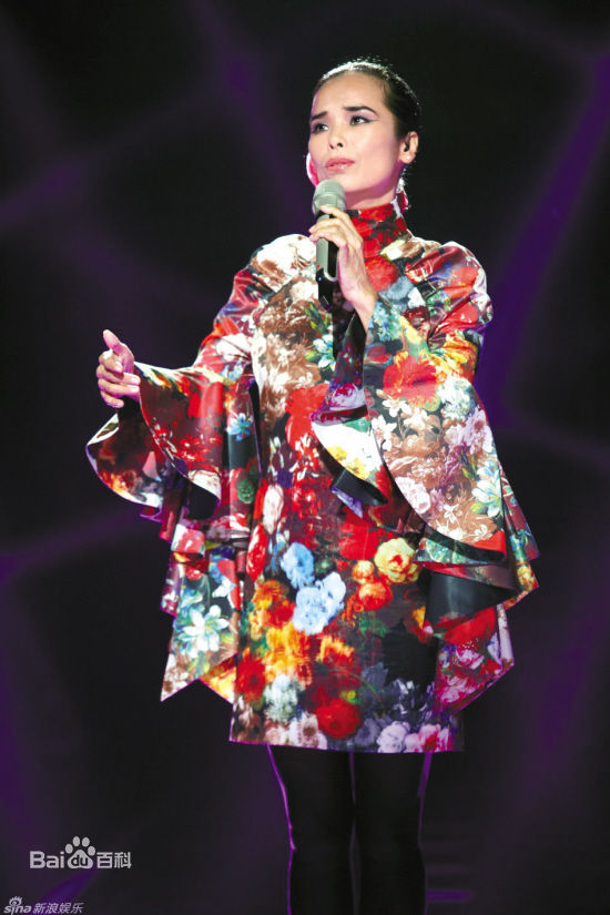 韦唯中国惠特尼休斯敦--素颜照相册