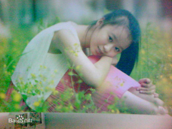 董慧最全2012壁纸