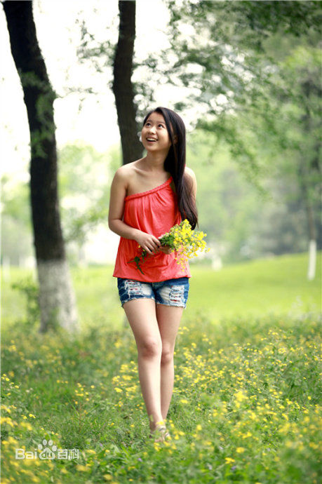 董慧最全2012壁纸