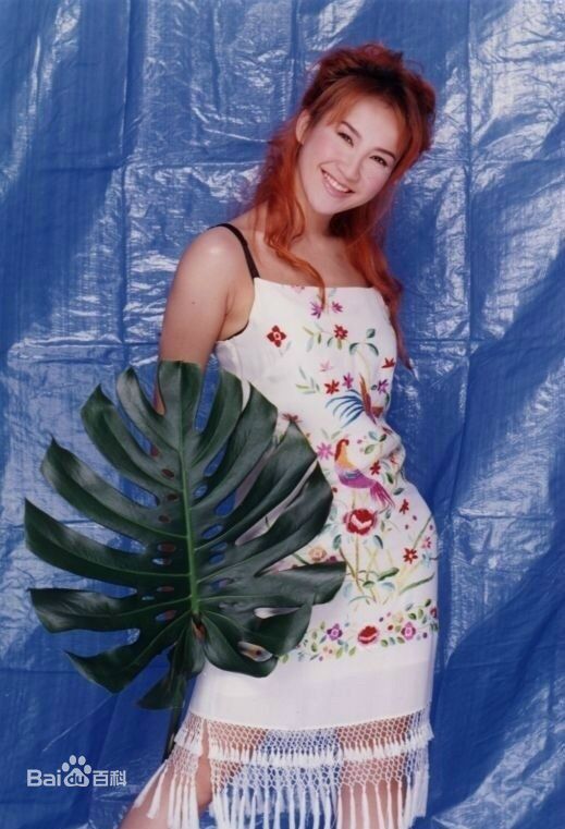 李玟(CoCo Lee)完美