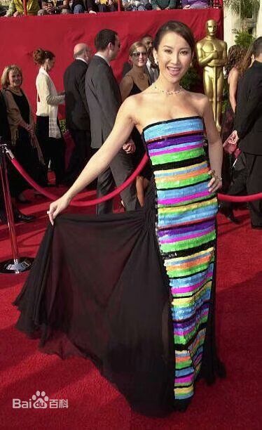 李玟(CoCo Lee)奥斯卡征途性感图片图集