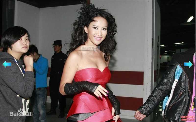 李玟(CoCo Lee)2010腾讯星光大典性感图片壁纸