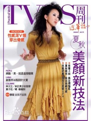 李玟(CoCo Lee)精选杂志汇总图册
