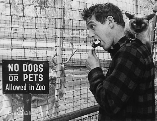 最优质保罗·纽曼(Paul Newman)精彩图册