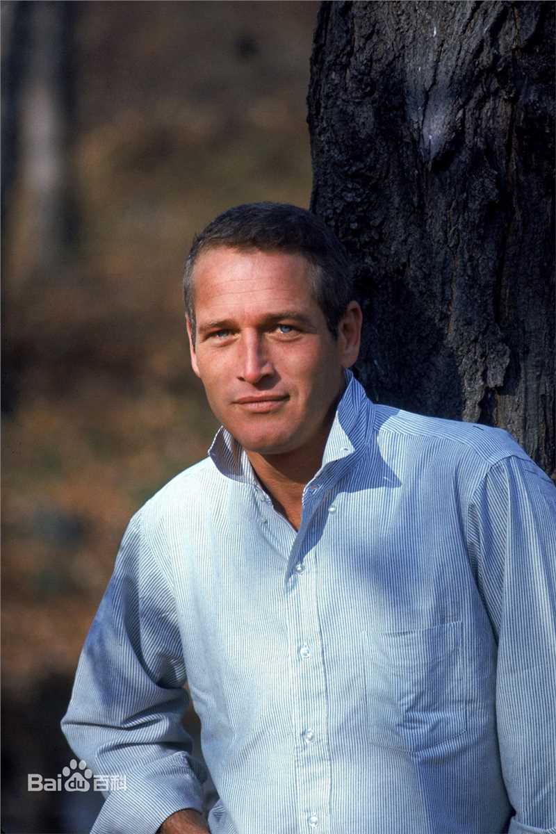 最优质保罗·纽曼(Paul Newman)精彩图册