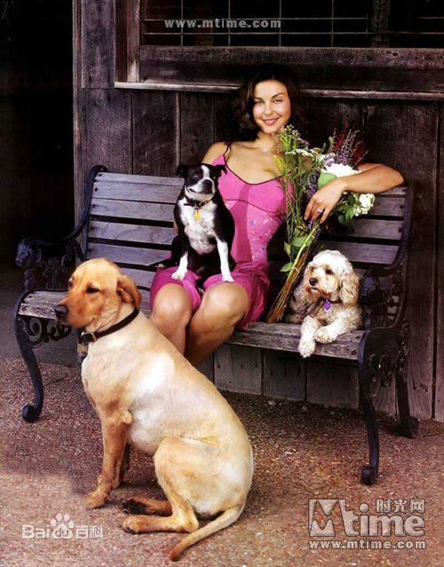 精选艾什莉·贾德(Ashley Judd)精彩图册
