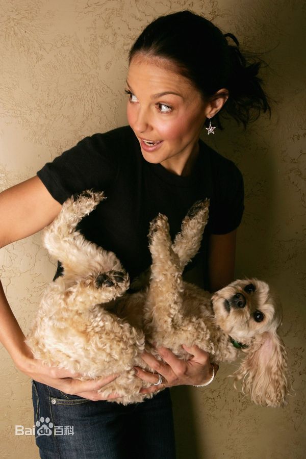 精选艾什莉·贾德(Ashley Judd)精彩图册