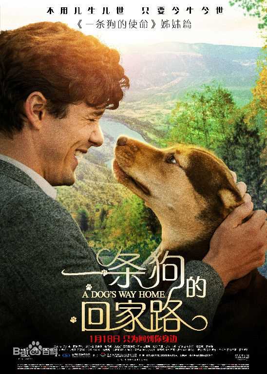 艾什莉·贾德(Ashley Judd)前后照片