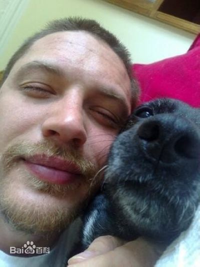 最优质汤姆·哈迪(Tom Hardy)精彩图册