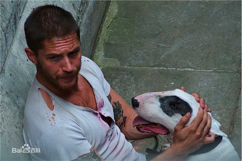 精选汤姆·哈迪(Tom Hardy)精彩图册