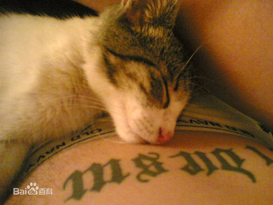 精选汤姆·哈迪(Tom Hardy)精彩图册