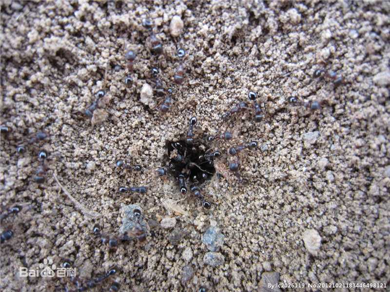 最全安东尼奥·班德拉斯(Antonio Banderas)素颜照