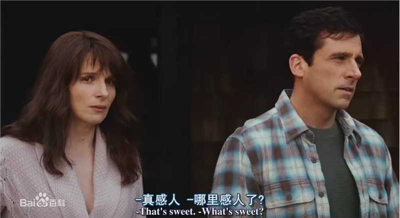 史蒂夫·卡瑞尔(Steve Carell)在代表作《丹的真实生活》中的