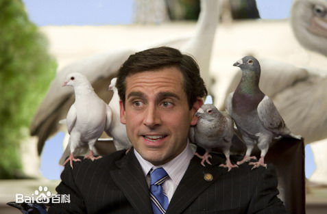最全史蒂夫·卡瑞尔(Steve Carell)素颜照