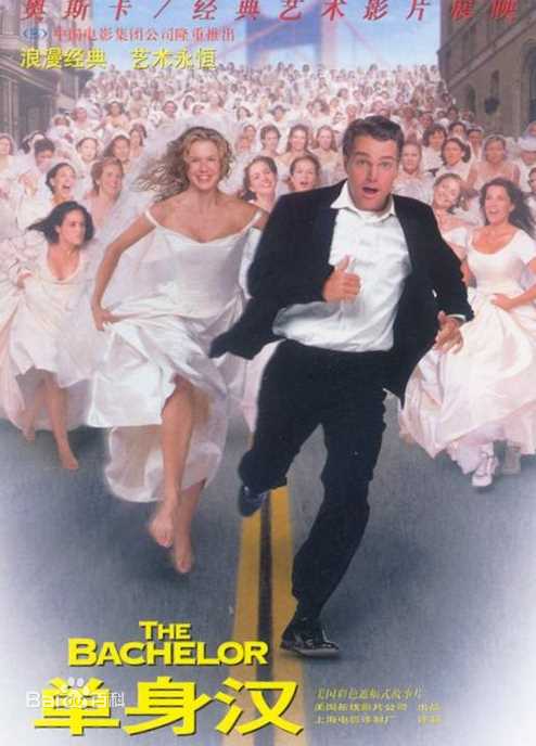 最全蕾妮·齐薇格(Renée Zellweger/Renée Kathleen Zellweger)壁纸