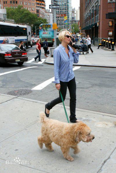 最新艾伦·巴金(Ellen Barkin)精彩图册