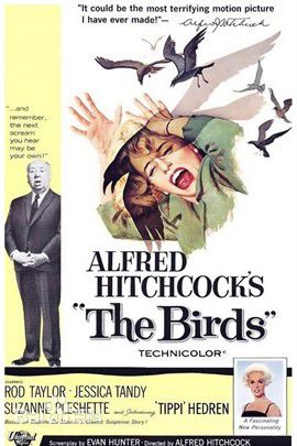 最优质杰西卡·坦迪(Jessica Tandy)素颜照