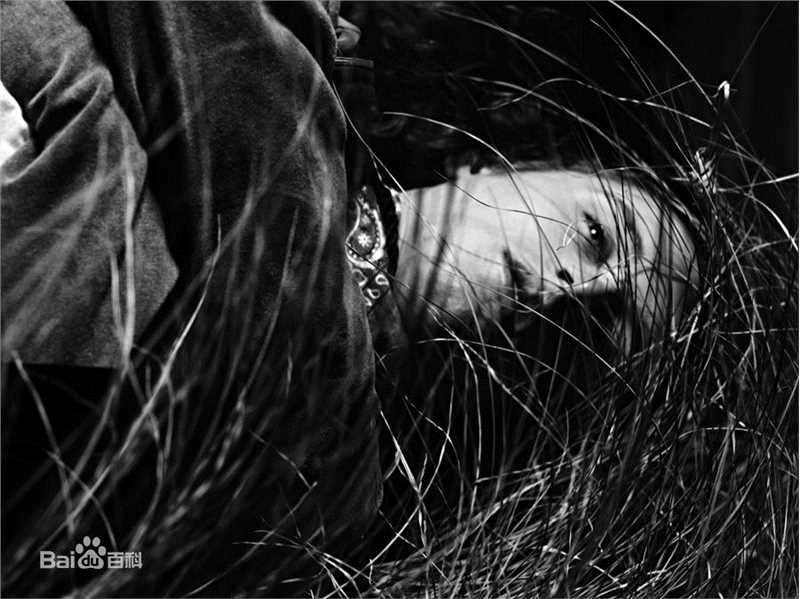 最全罗瑞·卡尔金(Rory Culkin)精彩图册