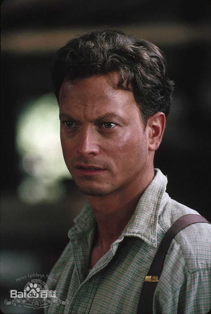 加里·西尼斯(Gary Sinise)精彩图册
