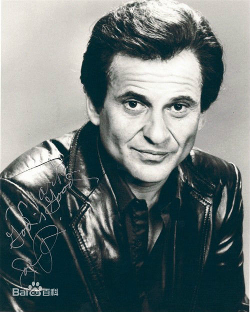 精选乔·佩西(JoePesci)