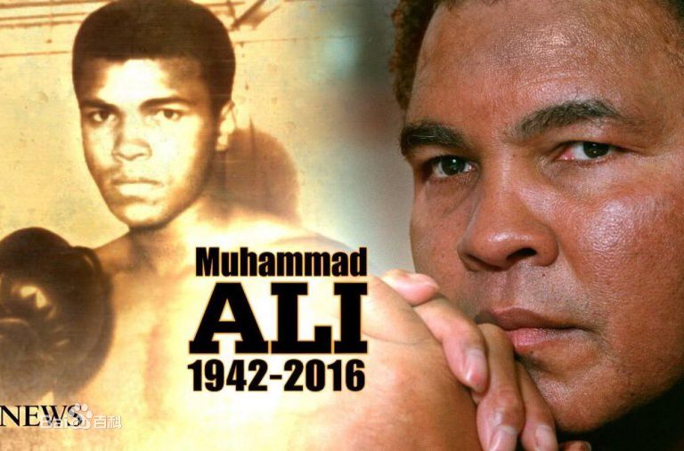 最全·阿里(Muhammad Ali)壁纸