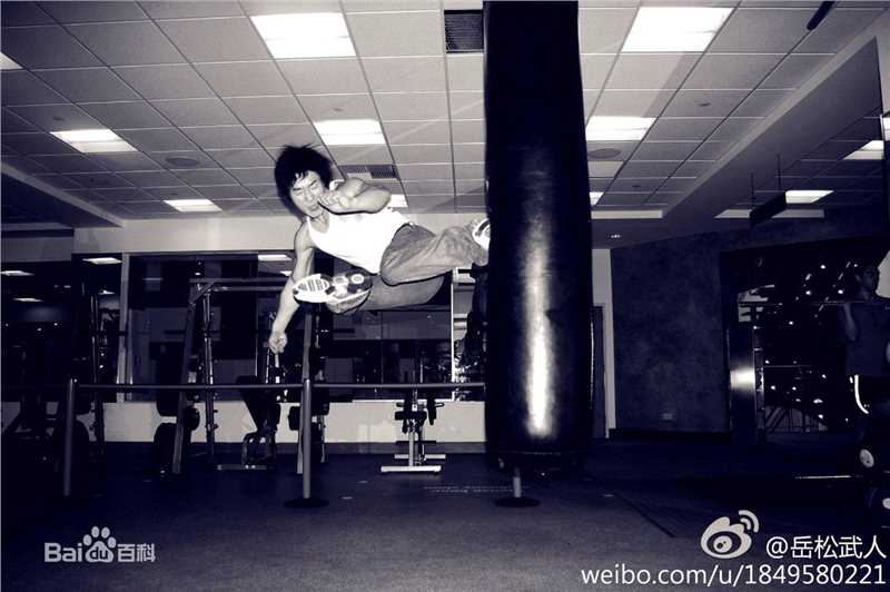 精选岳松(yue song)