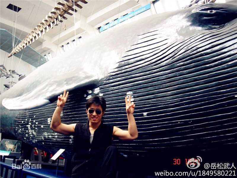 精选岳松(yue song)