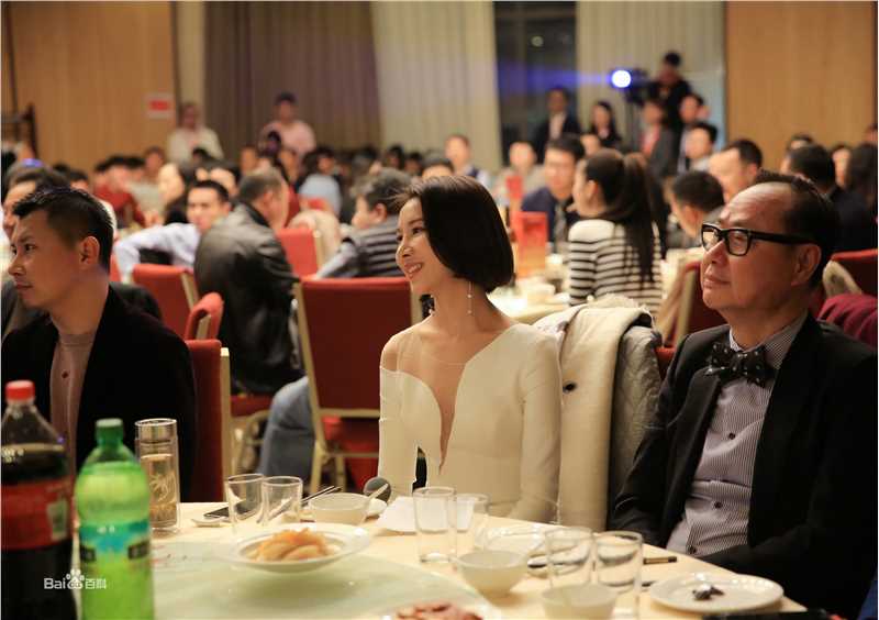 王飞斐飞儿工作照性感图片图集