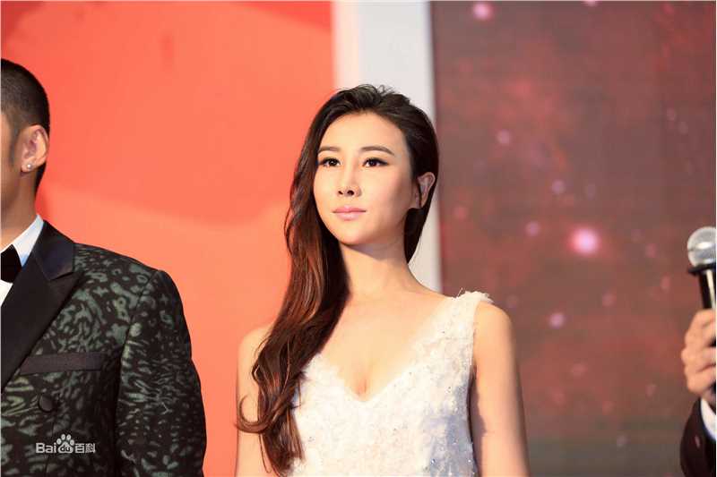 王飞斐飞儿工作照性感图片图集