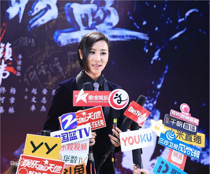 王飞斐飞儿工作照性感图片图集