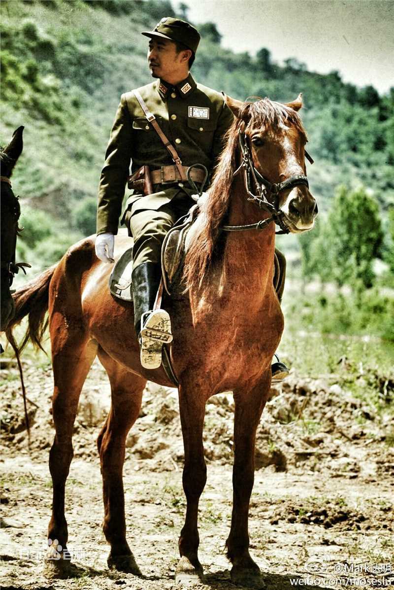 刘名洋(Johnny Depp)电视图集生活照相册