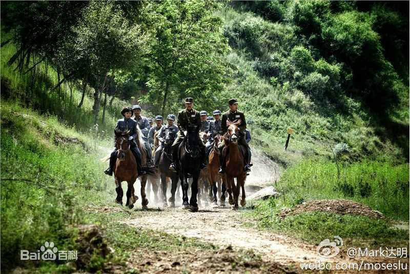 刘名洋(Johnny Depp)电视图集生活照相册