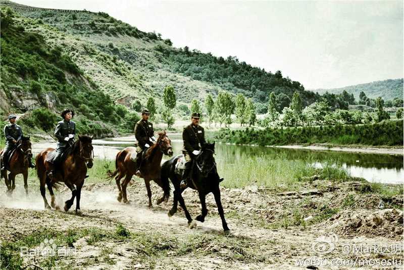 刘名洋(Johnny Depp)电视图集生活照相册