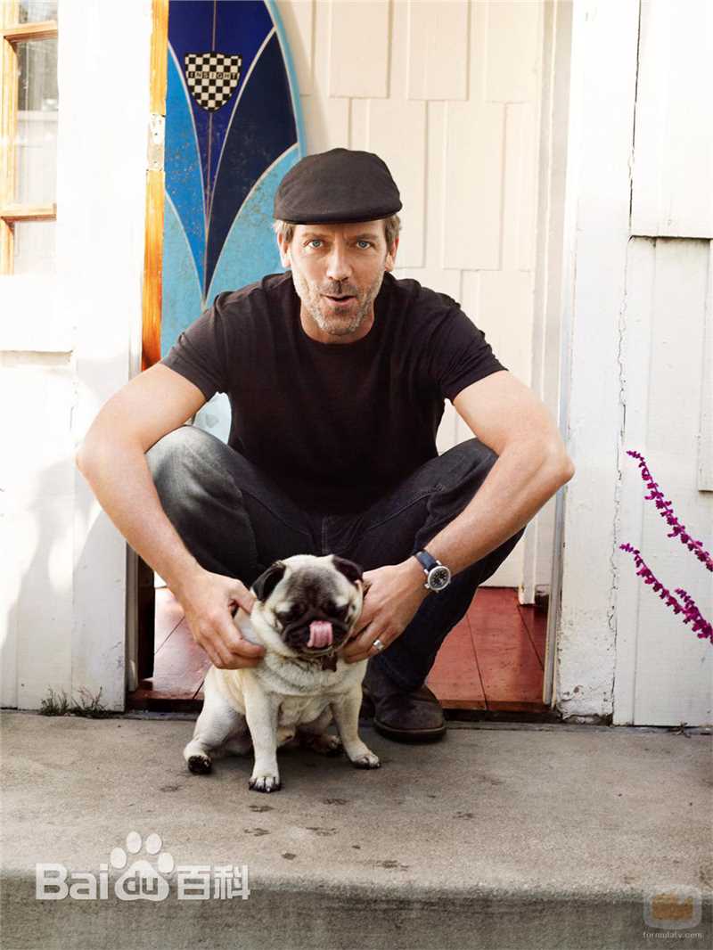 最全休·劳瑞(Hugh Laurie)壁纸