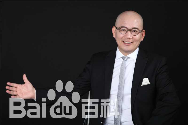 《袁岳》封面图片