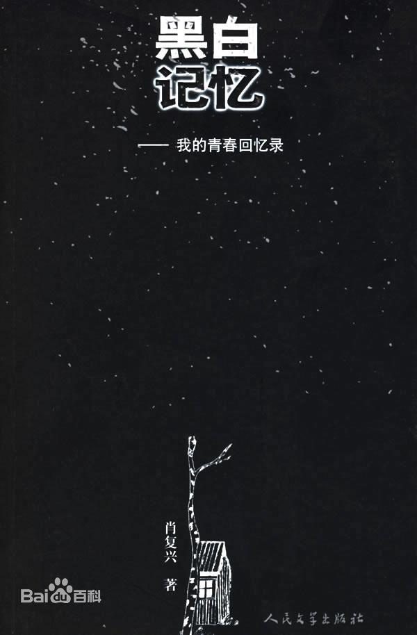 《杨梓墨》封面图片