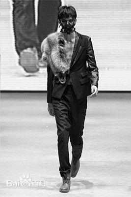 张驰(CHIZHANG)CHI ZHANG 2011 AW图片图集