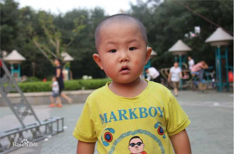 《张峻豪》封面图片