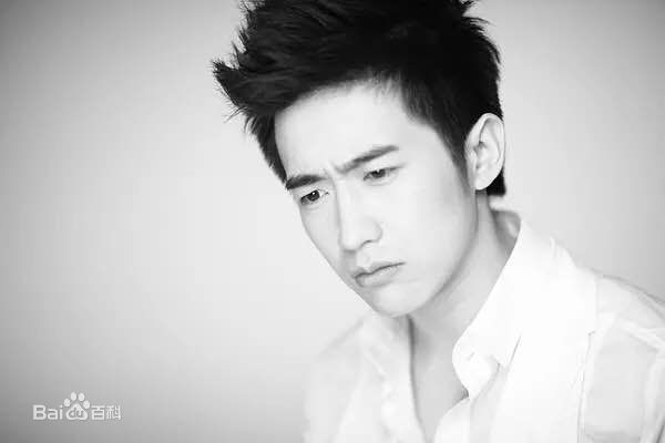 陶灏景(Vincent Tao)高清图集