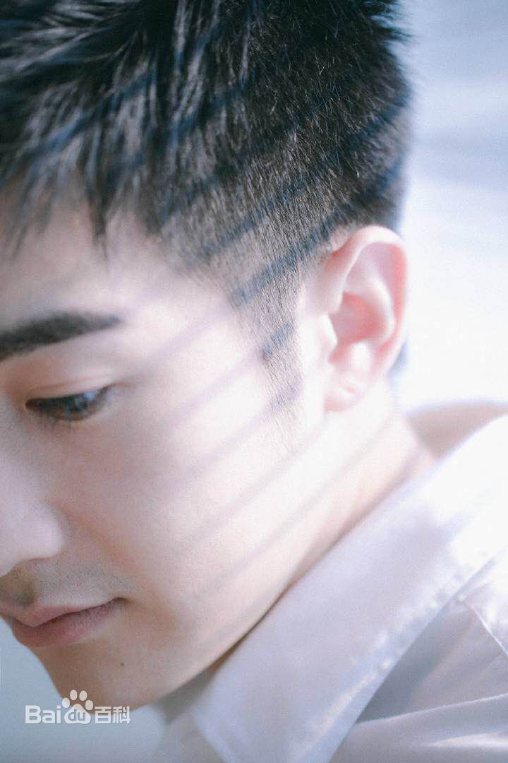 陶灏景(Vincent Tao)高清图集